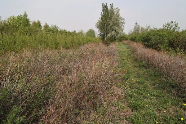 В Свердловской области полицейский спас потерявшуюся при сборе ягод женщину