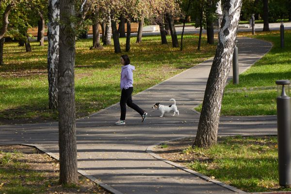 В Екатеринбурге установят новые площадки для выгула собак