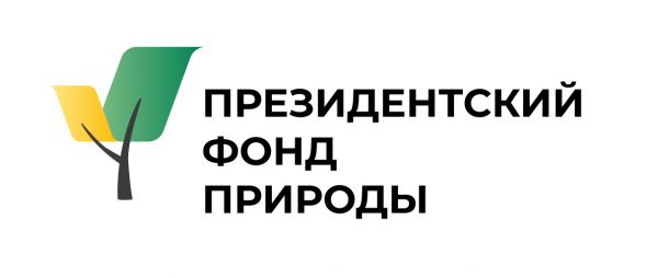 Краснокнижные тритоны и гибнущие леса: на что уральцы направят гранты Президентского фонда природы