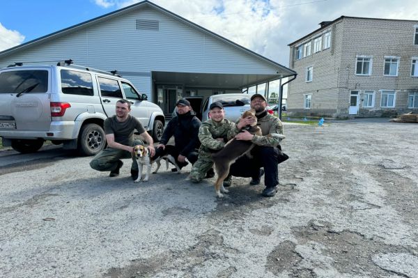 В свердловском главке МВД наградят волонтеров, которые нашли пропавших под Байкалово детей