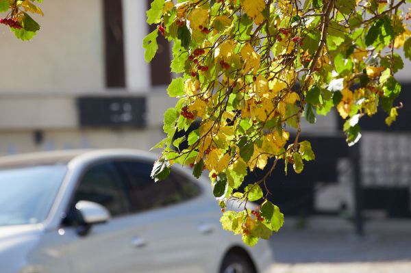 В Свердловской области потеплеет к концу сентября