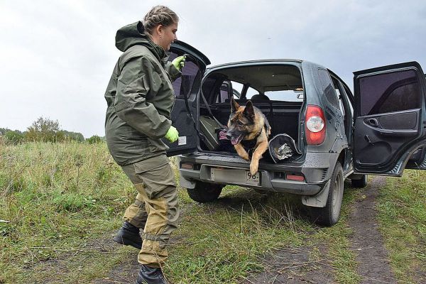 В Свердловской области начали выдавать разрешения на весеннюю охоту