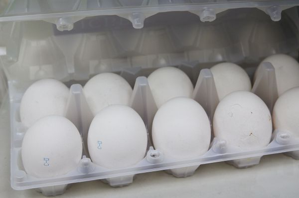 Свердловские власти объяснили, почему в магазинах стало меньше местных яиц