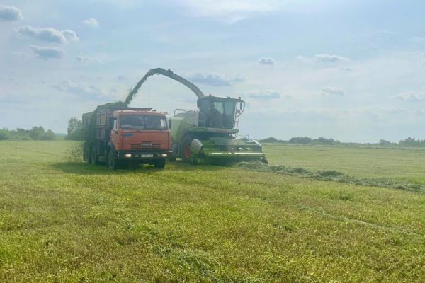 На полях Свердловской области началась уборка