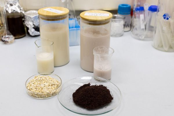 Ученые УрФУ нашли способ сделать овсяное молоко более полезным