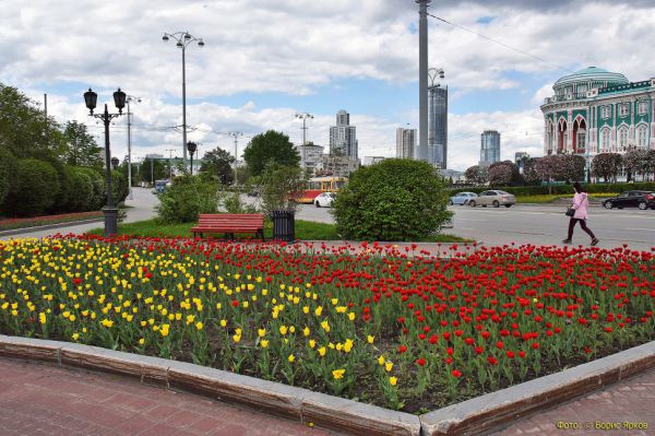 На клумбах Екатеринбурга сделают узоры из цветов. Дизайнеры представили проекты