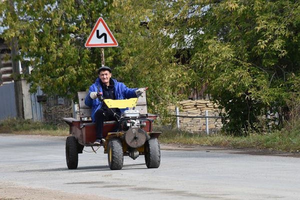 В Екатеринбурге спрос на товары для сада и огорода вырос за год на 52%