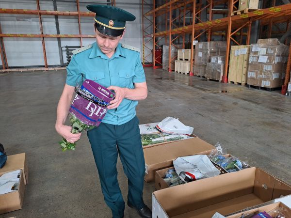 Нидерланды, Эквадор и Китай завалили Средний Урал цветами в преддверии Дня знаний