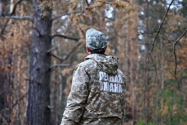 На Среднем Урале на 56 процентов снизился уровень незаконной рубки леса