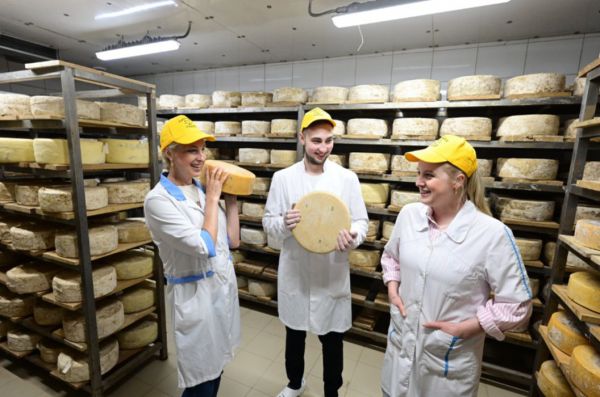 Семья фермеров из Сысерти освоила выпуск более двадцати сортов сыра