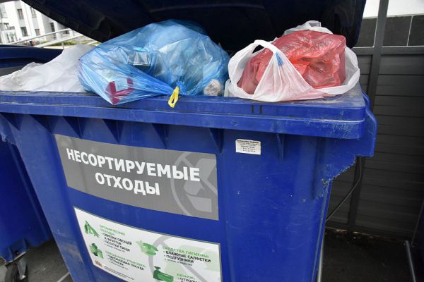 Свердловский Роспотребнадзор выявил антисанитарию на каждой четвертой площадке для сбора мусора