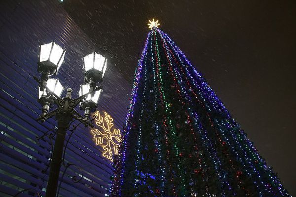 В Нижнем Тагиле построят ледовый городок по мотивам сказки «Айболит»