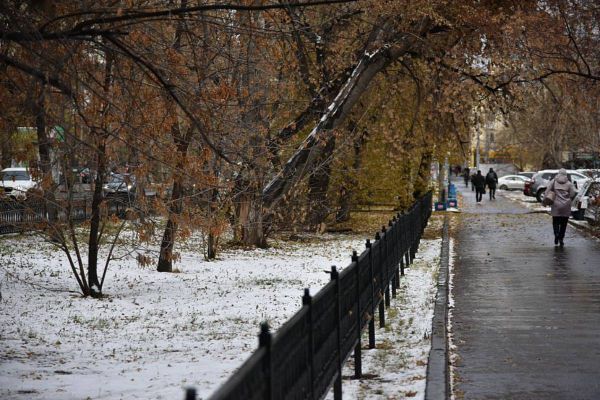 Дожди и плюсовая температура: синоптики рассказали, как долго продержится аномальное тепло в Екатеринбурге