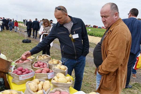 Жители Екатеринбурга смогут заказать бесплатную доставку картофеля