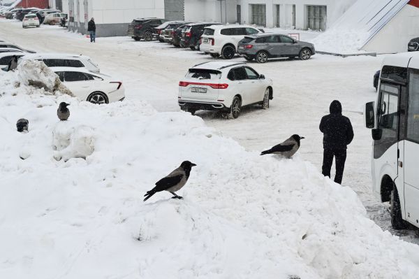 В Свердловской области приняли единые рекомендации к организации парковок