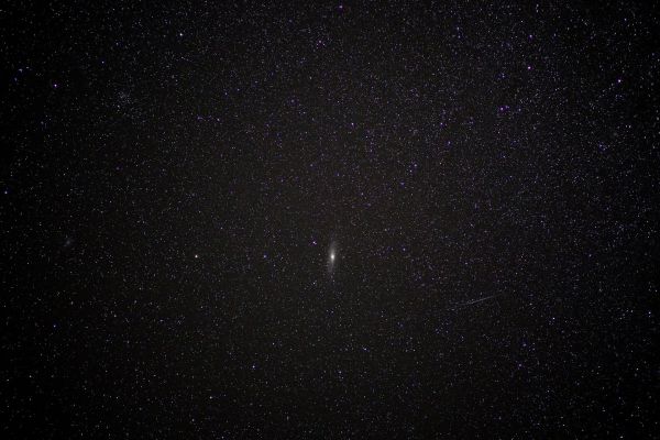 Сегодня в полночь жители Екатеринбурга увидят метеорный поток Персеиды
