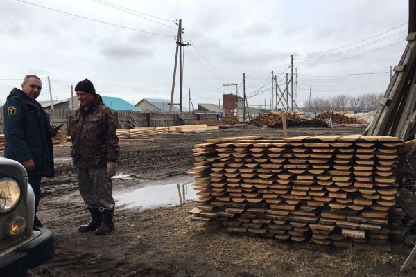 На Среднем Урале стартовали обследования лесоперерабатывающих предприятий