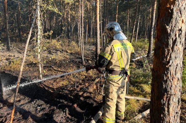 Свердловские власти потратят 384 миллиона рублей на борьбу с лесными пожарами