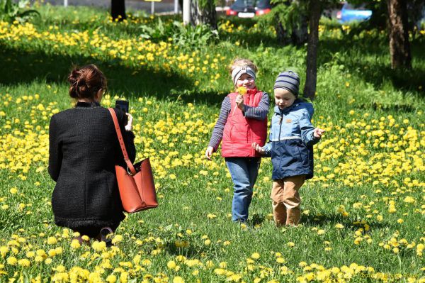 Весна в Екатеринбурге завершится летним теплом и грозами
