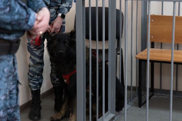 В Екатеринбурге полиция арестовала участников перестрелки на Советской