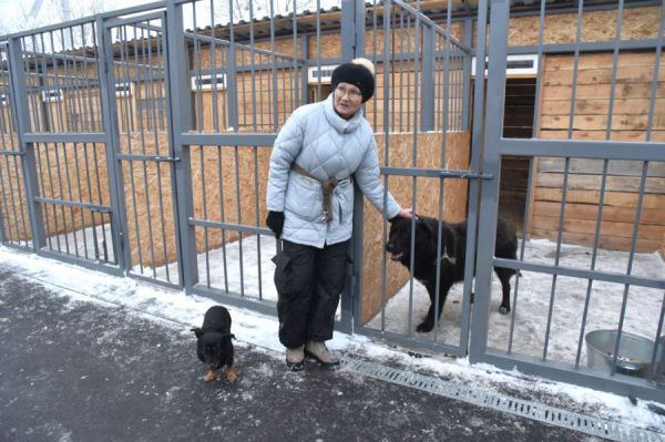 В Асбесте открылся первый на Среднем Урале межмуниципальный приют для собак и кошек