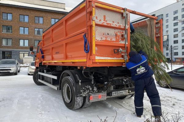 В «Спецавтобазе» рассказали, куда свердловчане могут сдать на переработку новогодние ели