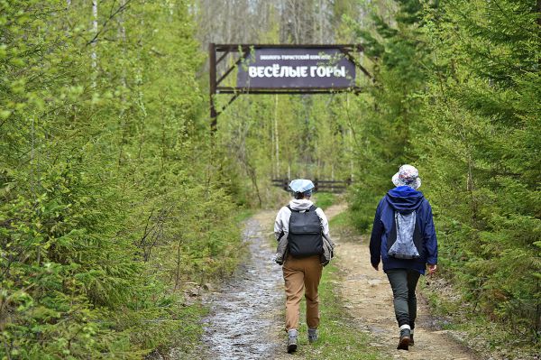 В Висимском заповеднике найдены два вида грибов из Красной книги