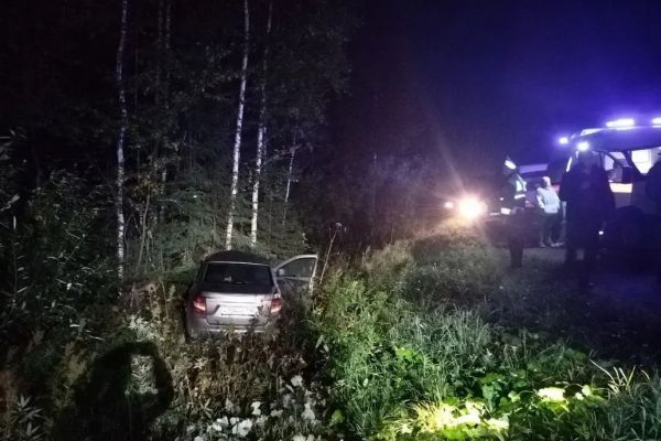 В Свердловской области водитель Lada Granta погиб от столкновения с лосем