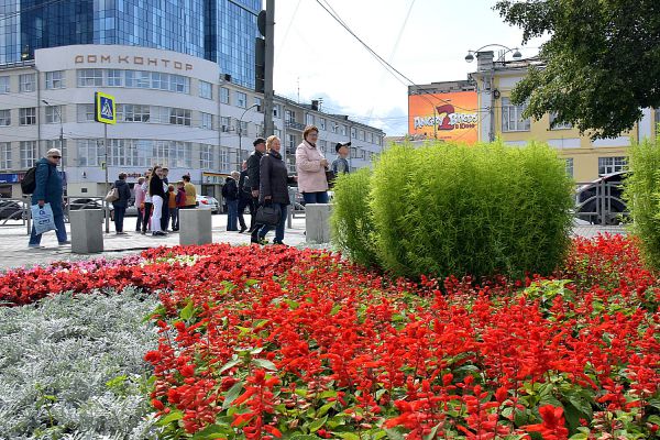 Без них город был бы пустым:  названы лучшие цветники Екатеринбурга