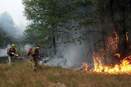 В области действуют 3 природных пожара