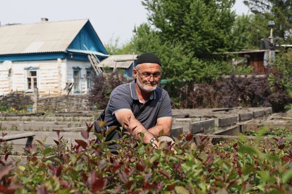 В Екатеринбурге в городском питомнике выращивают кизил и барбарис