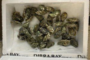 Что-то на богатом: 151 кг живых устриц привезли на Средний Урал