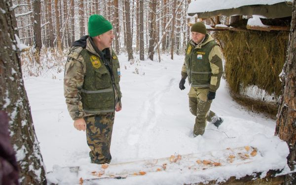 Дикие животные нуждаются в подкормке