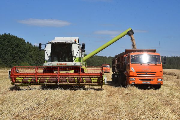 В Свердловской области началась уборка зерновых культур. Фото
