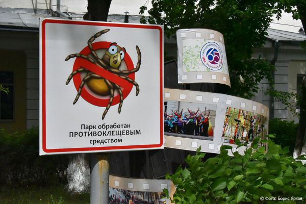 На Среднем Урале клещи чаще всего нападают на жителей Екатеринбурга  и Каменска-Уральского