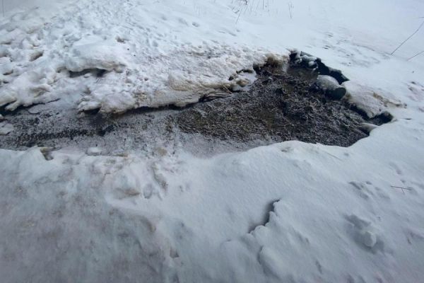 В Нижнем Тагиле после вмешательства прокуратуры прекратили загрязнение почвы и реки Вязовка