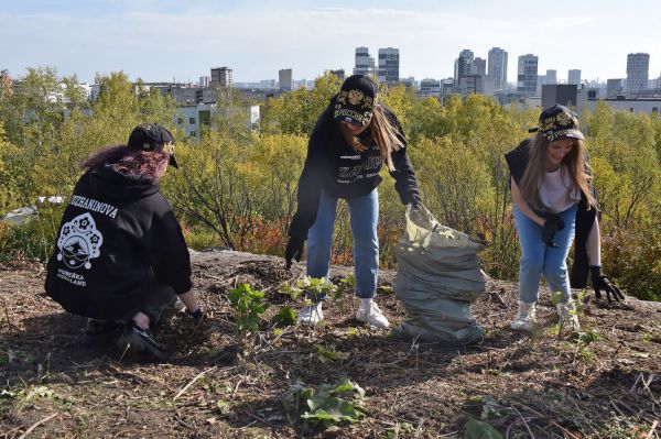 Уроки труда, такси с тахографом, пиво в реестре: новое в законах с сентября 2023 года