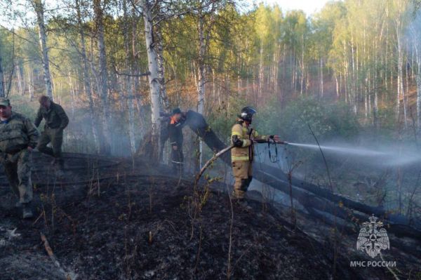 На Среднем Урале за сутки ликвидировали 18 лесных пожаров