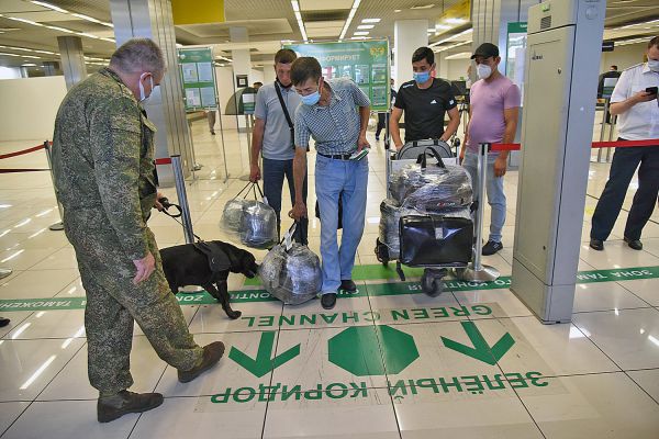 Социологи выяснили, насколько востребованы шенгенские визы у россиян