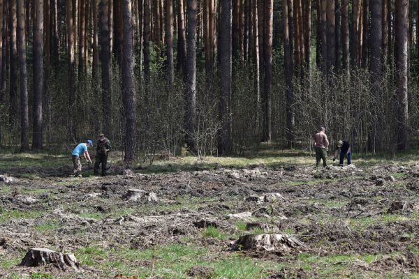 Цифровые волонтеры помогли выявить места незаконной рубки леса на Среднем Урале