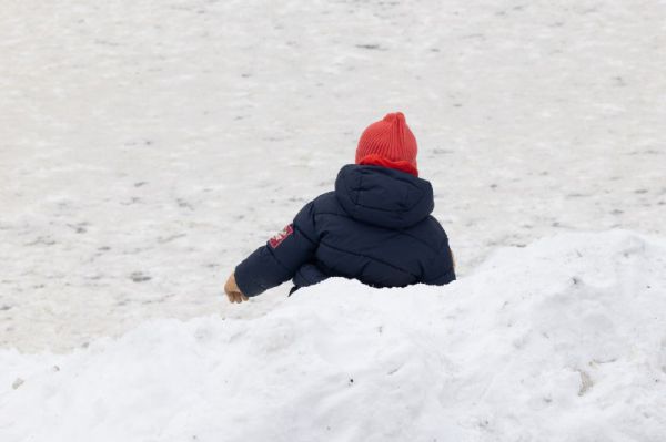 Почему уральские студенты не торопятся становиться родителями