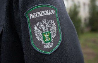 Свердловское предприятие отправило в Китай 300 тонн палочек для мороженого