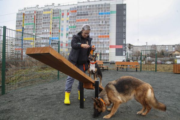 В Первоуральске появились новые  площадки для выгула собак