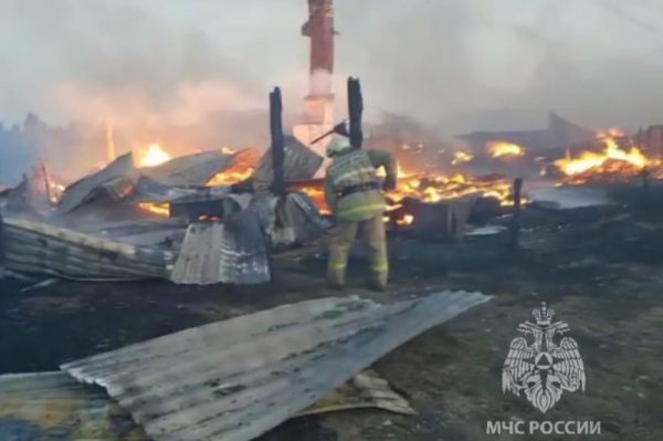 В селе под Нижним Тагилом огонь уничтожил жилые дома