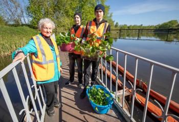 Экологи заселили водоемы Нижнего Тагила полезными растениями