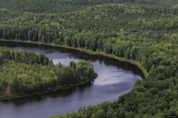 Лес под охраной. Утверждена дата начала пожароопасного сезона в Свердловской области