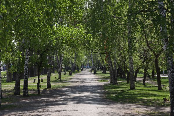 Екатеринбуржцам предложили обсудить благоустройство Основинского парка