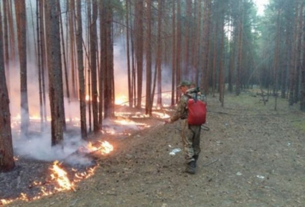 В Свердловской области действует один природный пожар
