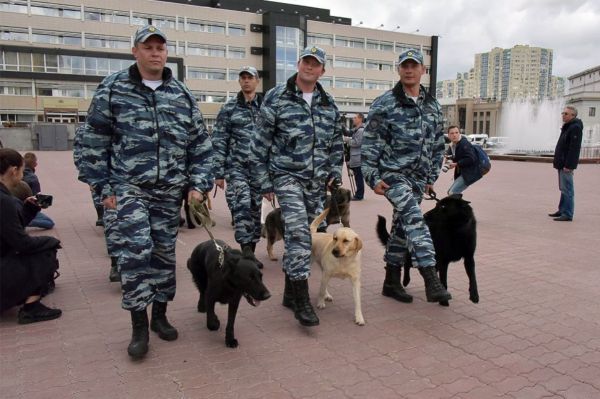 В День народного единства по поручению губернатора в Свердловской области усилят меры безопасности