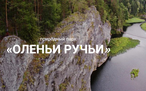 «Оленьи ручьи» выплатят 2 млн рублей родителям за смерть ребенка от укуса клеща — малыш «поймал» его в природном парке